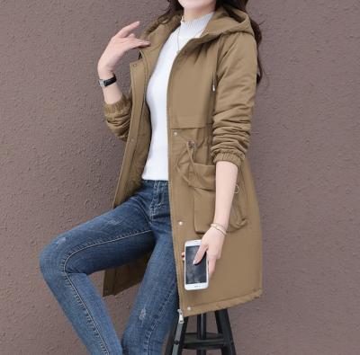 купить Тренч